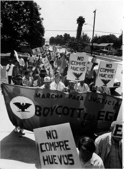 (3648) Boycott, demonstration, Egg City (3648) Boycott, demonstration, Egg City